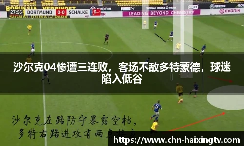 海星体育在线直播