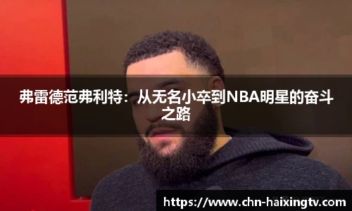 海星体育在线直播