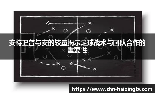 海星体育在线直播